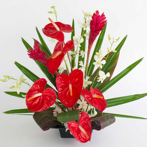 Anthurium and Orchids Arrangement