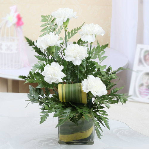 Six Pleasant White Carnations in a Glass Vase