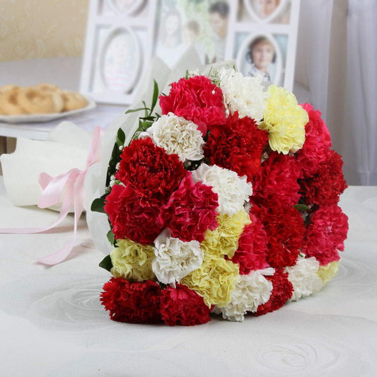 Elegant Bunch of Carnations