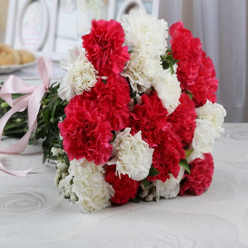 Red and White Carnations Bouquet