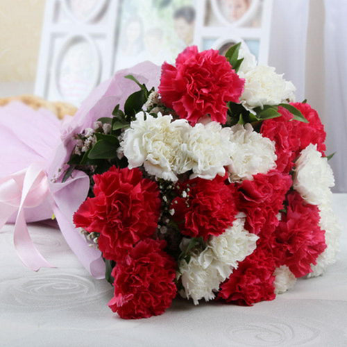 Twenty Gorgeous Mixed Carnations
