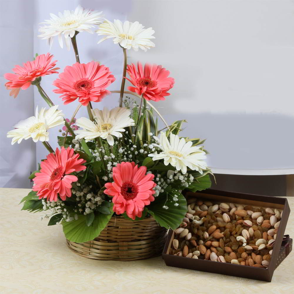 Awesome Arrangement of Gerberas with Assorted Dry Fruits