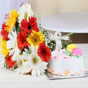 Gerberas Bunch and Vanilla Cake Combo