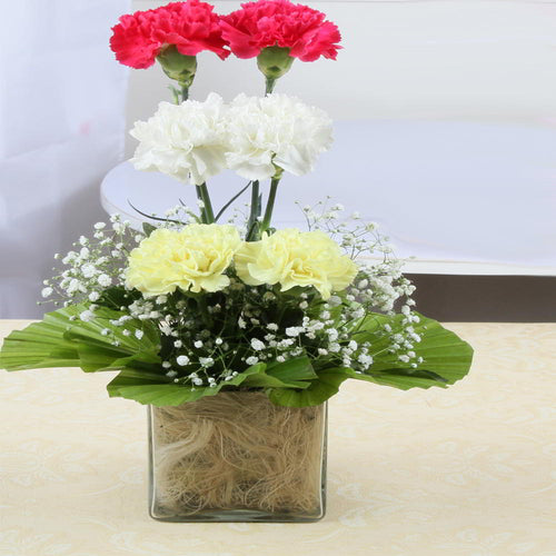 Gorgeous Carnations Glass Vase