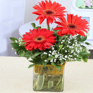 Three Red Gerberas Glass Vase