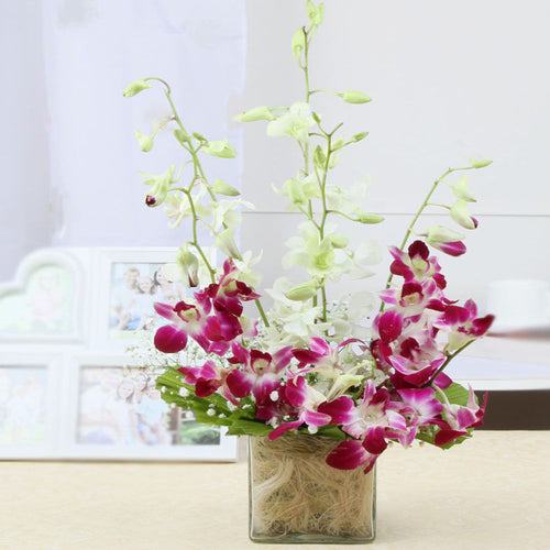 Lovely Mix Colors Orchid in Glass Vase