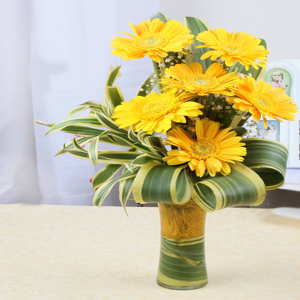 Stylish Six Yellow Gerberas in a Glass Vase